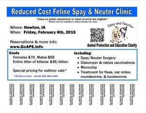 SN Clinic Flyer - Feline  Newton Feb 6th