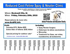 SN Clinic Flyer - Feline  Rockwell CIty Feb 20th