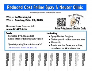 SN Clinic Flyer -Cats  Jefferson Feb 2015