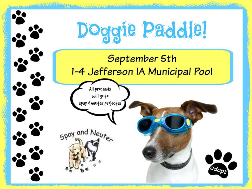 Doggie Paddle