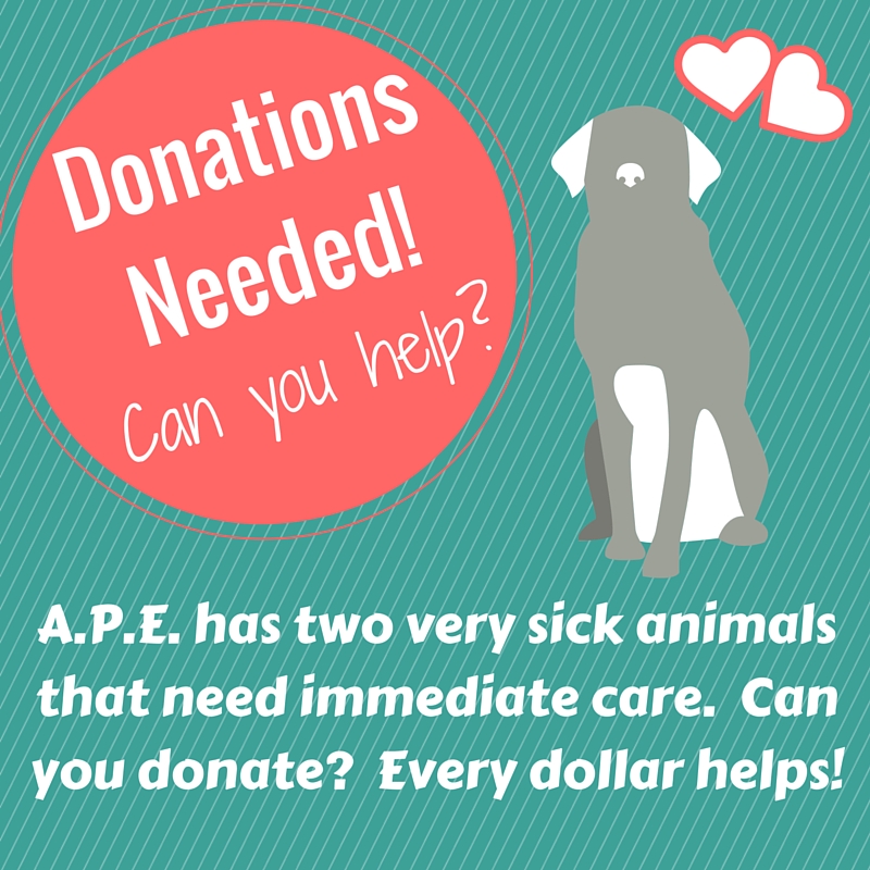Urgent: . Needs Your Help – Animal Protection and Education