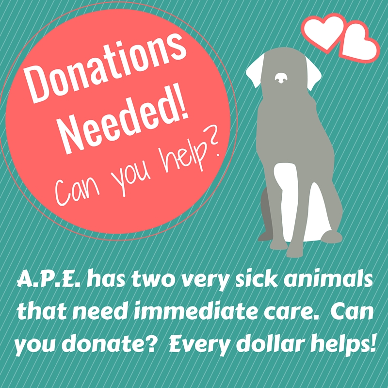 Urgent: . Needs Your Help – Animal Protection and Education Urgent: . Needs Your Help – Animal Protection and Education