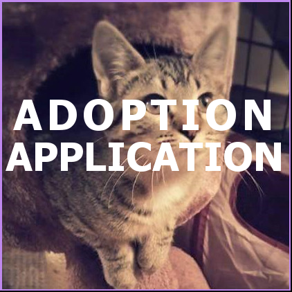 Adoption Application