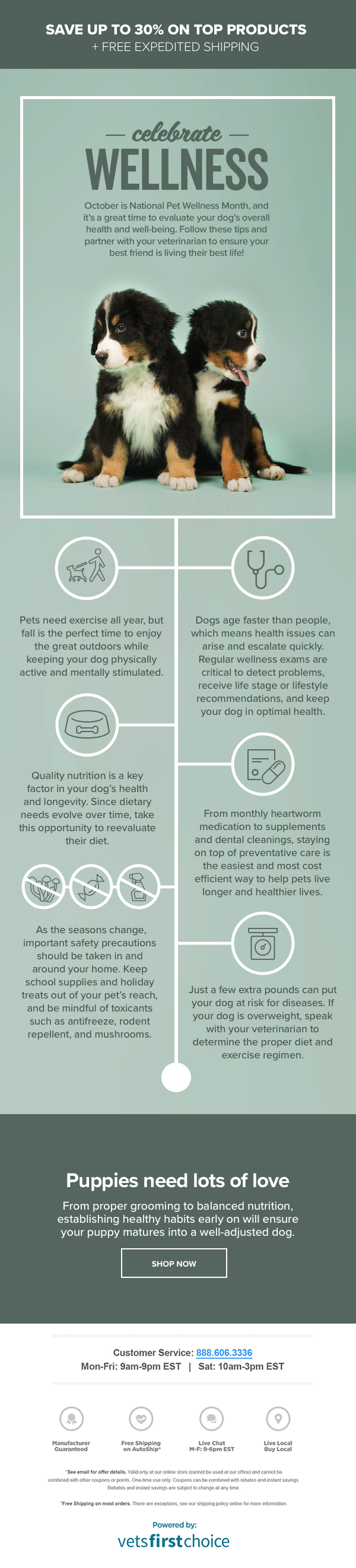 October is National Pet Wellness Month – Animal Protection and Education