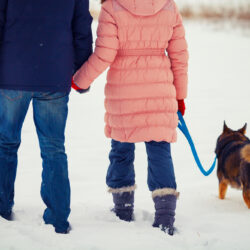 How to Leash Train your dog
