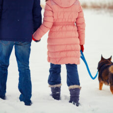 How to Leash Train your Dog